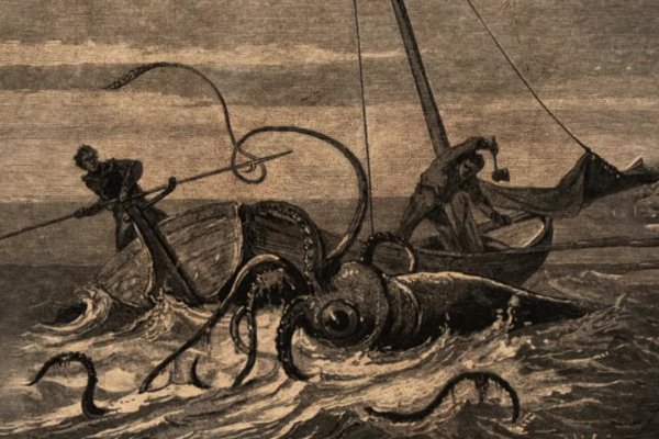 Kraken market ссылка тор