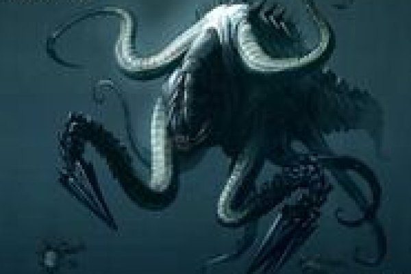 Кракен актуальная ссылка kraken torion net