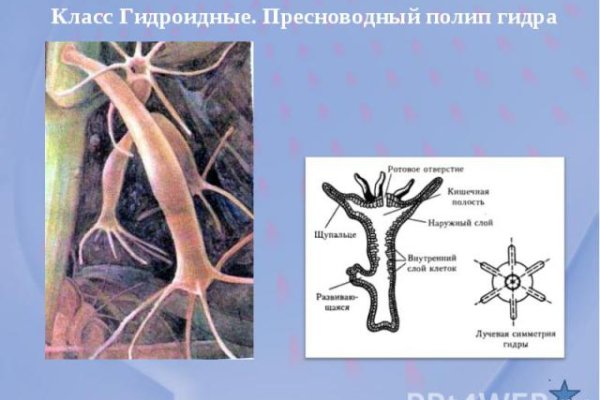 Сайт наркотиков купить