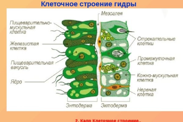 Кракен даркнет площадка