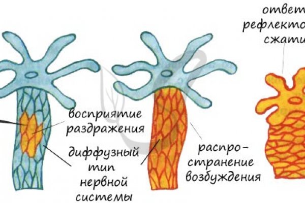 Кракен тор kr2web in