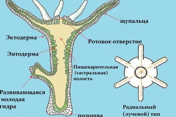 Ссылка в даркнет