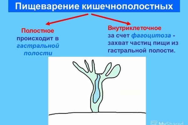 Kraken market ссылка