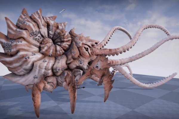 Kraken 12g