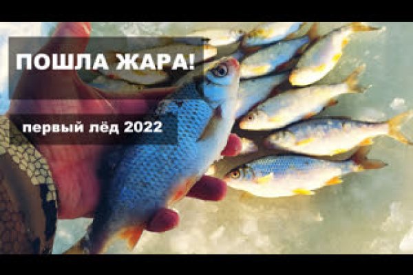 Кракен сайт закладок