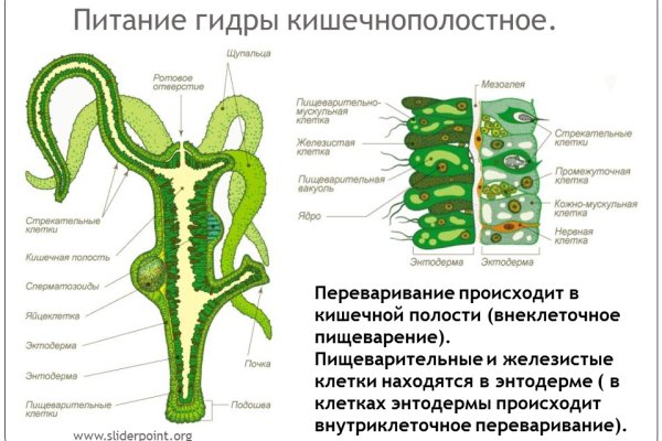 Почему не получается зайти на кракен