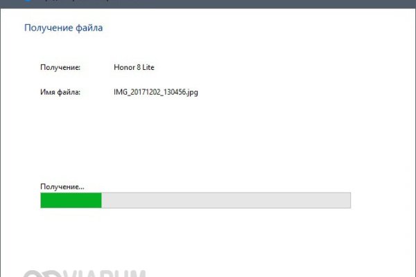 Kraken url
