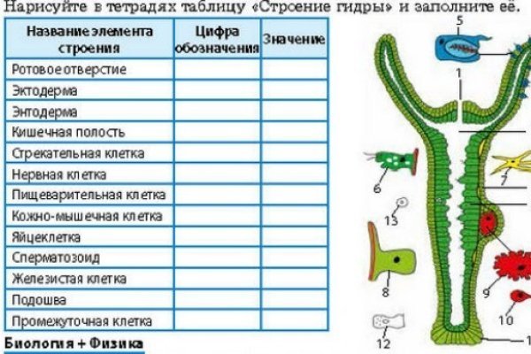 Кракен даркнет актуальная ссылка
