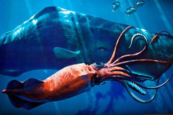 Кракен ссылка kraken dark link
