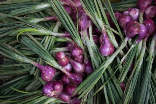 Кракен зеркало onion