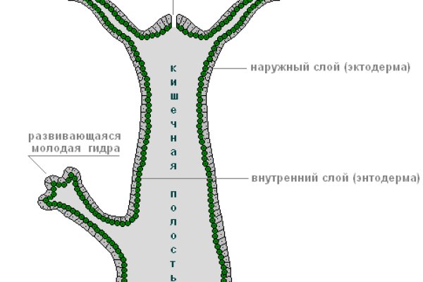 Кракен даркнет только через тор скачать